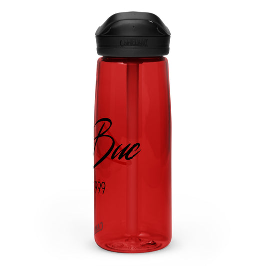 Sports water bottle