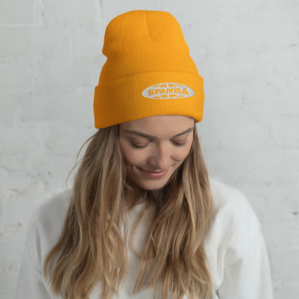 Cuffed Beanie